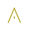 Artemis Medicare Services