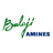 Balaji Amines