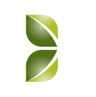 Capital Trust