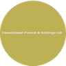 Consolidated Finvest & Holdings