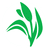 Dhunseri Tea & Industries