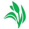 Dhunseri Tea & Industries