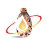 Jayant Agro Organics