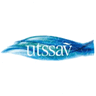 Utssav CZ Gold Jewels